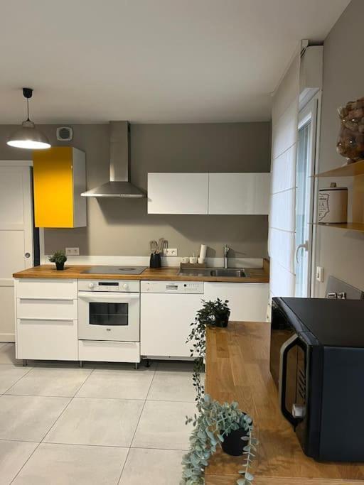 La Maison Du Bonheur 70 M² Saint-Amand-les-Eaux Extérieur photo